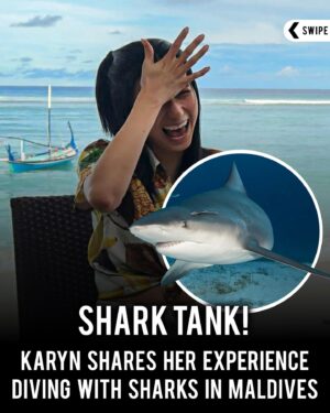 Karyn Wong Instagram - @iamnotagirl shares her thoughts after diving at Shark Tank along with some pro tips for anyone wanting to visit someday.

Watch the video throughly to find out if this answers any questions you might be having and if not… feel free to write it down in the comment section. 🦈 

#maldives #diving #diveclubmaldives #diveclub #sharkdiving #divewithsharks #sharkdiving #tigershark #bullshark #hulhumale #vacation #travel #pubity #pubityreels #visitmaldives #padi #paditv @paditv @travel #ocean #scuba #scubadiving @scubadivingmag