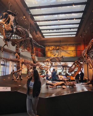 Kat Ingkarat Instagram - If you know me, you know anything dinosaurs related makes me so happy🥰.
Dinosaurs were on this planet for more than 165 million years. I just couldn’t help, but think they were successful when you consider that modern humans (Homo Sapiens) only have been around for 200,000 years.
And honestly we have already come so far in polluting our planet. 
If we don’t take care of things, they won’t last.
As simple as that.
Let’s give a shit about it now. Shall we????