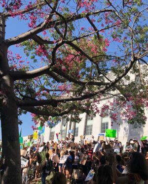 Kat Ingkarat Instagram - I think it’s important to let our voice be heard. It’s even more important to make better choices, take action everyday to save our planet one day at a time.
I just fight for what I believe in, and I believe in protecting this planet, not just for me, but for the longest time after this human lifetime of mine. 🌏🍃#climatestrike #itsgettinghotinhere