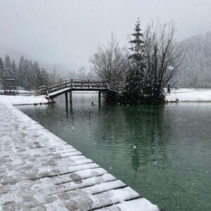 Katarina Čas Instagram - ❄️Snežna❄️

#jasnalake #jasnakrasna #jezerojasna #natura #zen #kranjskagora #winterfairytale