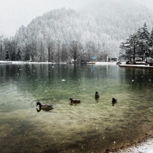 Katarina Čas Instagram - ❄️Snežna❄️

#jasnalake #jasnakrasna #jezerojasna #natura #zen #kranjskagora #winterfairytale