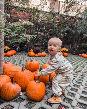 Kateřina Koubová Instagram - Dýňe time 🎃
#dyne #autumn #time #mood #friends #besties #kids #baby #max #pumpkin #coffee #truck #mamas #love