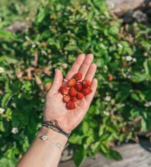 Kateřina Koubová Instagram - 📍 Další úžasný místo, který si uložte 👉🏻 @chaloupka_pod_strani 🏠
Nádherná chaloupka v Jeseníkách s ještě hezčí přírodou kolem 🙏🏻 To byl úplně balzám na duši! 
3 ložnice   spánek na kamnech 🥹 bazén, sauna, vířivka, prolézačky pro děti, venkovní sezení s grilem a spousta dalšího! Rozhodně doufám, že se tam ještě na pár dní otočíme 💙 Velké díky @papaja_22 a @maixner_tomas!
#chaloupkapodstrani #chaloupka #jeseniky #prodeti #czech #mountains #accomodation #beautifulplaces #nature #relax #kids #amazing