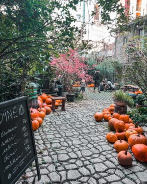 Kateřina Koubová Instagram - Dýňe time 🎃
#dyne #autumn #time #mood #friends #besties #kids #baby #max #pumpkin #coffee #truck #mamas #love