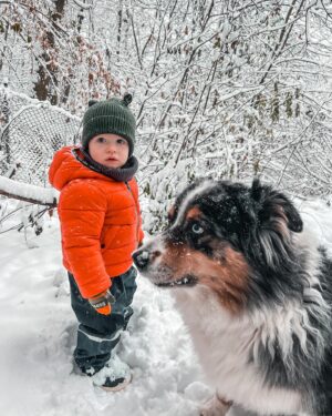 Kateřina Koubová Instagram - Ach, to je pohádka ❄️ Radosti, rudé tváře, tři zuby venku, sníh je nejlepší k jídlu, boby jsou top, všichni unavený 🙏🏻 #miluju
#czech #prague #snow #firsttime #love #myboys #friends #dog #aussie #australianshepherd #max #charlie #winter