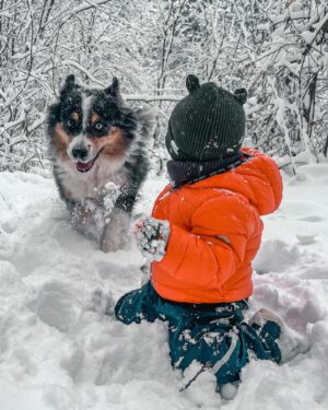 Kateřina Koubová Instagram - Ach, to je pohádka ❄️ Radosti, rudé tváře, tři zuby venku, sníh je nejlepší k jídlu, boby jsou top, všichni unavený 🙏🏻 #miluju
#czech #prague #snow #firsttime #love #myboys #friends #dog #aussie #australianshepherd #max #charlie #winter