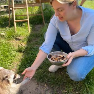 Katharina Schulze Instagram - Darf ich vorstellen? Das ist Chip! 😍
 
Er ist gerade im @tierheimhassberge bis er alt genug ist um wieder ausgewildert zu werden. Das Tierheim kümmert sich nicht nur um Hunde, Katzen und sonstige Heimtiere, sondern auch um Wildtiere. Neben der Rehkitzrettung und der Aufzucht von Eichhörnchen haben sie auch Waschbärengehege. In diesem Pilotprojekt werden dauerhaft verwaiste Waschbären untergebracht und versorgt.
 
Danke für den interessanten Austausch und die vielen konkreten Anregungen, die ich mit in den Landtag nehmen werde! Und DANKE für den hauptsächlich ehrenamtlichen Einsatz hier im Tierheim. Es ist wirklich eine Wucht was die Ehrenamtlichen hier jeden Tag leisten. 💚 Aufgabe von Politik ist es dafür zu sorgen, dass Tierheime finanziell gut ausgestattet sind. Dafür setzen wir uns weiter ein.
 
#kathaunterwegs #bayern #unterfranken #tierheim #tierschutz #wildtiere #eichhörnchen #waschbär #hassberge #politik #grüne