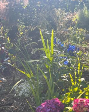 Katherine Ramdeen Instagram - welcome to my garden 👩🏻‍🌾🌹