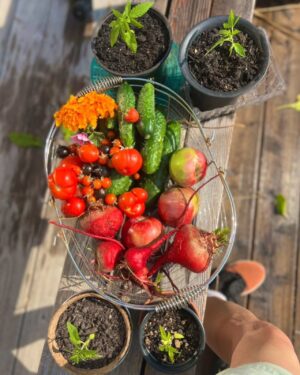Katherine Ramdeen Instagram - from my garden to your pixels 💋