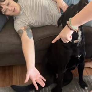 Katie Carpenter Instagram - Birth story, part 1. 

As many of you know, it took a while for us to get pregnant. When we finally did, we were over the moon! There were many lessons involved - lessons in nutrition, lifestyle adjustments, & emotional lessons of letting go.

When I imagined birth, I imagined it to be peaceful. I wanted to give our girl the gift of a calm entry into this world. I’d also never been comfy in hospital settings and we’d heard about traumatic hospital births. So - we hired a midwife and started planning a homebirth. 

At the time, I wasn’t worried about pain. I wanted to do it unmedicated, to prove I could. To be like our ancestors, squatting in a field 😅 In my mind, if I could do that, I could do anything. 

I was blessed with a normal pregnancy. A low-risk pregnancy is required for homebirth. Although midwives are highly trained, there are scenarios they don’t have the resources for. 

We also had backup care at a hospital midwife group. I did my labs through them. If anything risked me out, they would have my records. 

We bought a birth kit. We had a home visit. And then things started to shift. 

At 32 weeks, I got a high blood pressure reading at the midwives’ office. It went down, but they were concerned. I told them I was just nervous and my BP readings had been excellent at home. Still, I agreed to let them run a preeclampsia panel. It was fine. 

But then… I saw my BP rise at home. I felt desperate. So I followed the Brewer Diet. It requires you to eat a ton. I worried about food all the time. But within a few days, my BP was normal.

However, tensions were high with our homebirth midwife. The way things were communicated were often worded like threats. And at our last visit, she inferred she’d most likely send us to the hospital in labor. 

I left my 38w apmnt devastated. I knew I wouldn’t get my “peaceful homebirth.” I spent the day crying. 

That night, we made a choice. To cut ties with our homebirth midwife and willingly choose a hospital birth. 

I knew this was the right call, although it didn’t make it easier. To let go of something you’ve been planning for 9 months is hard. But just like getting pregnant was a lesson, so was this… “Let go.”