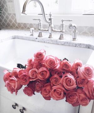 Katya Peneva Instagram - Beauty is in the eye of the beholder #mood #flowers #roses #simplelife