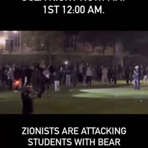 Kausar Mohammed Instagram - This past Friday, @amaliamegusta and I went to our alma mater to support the encampment. I have never been prouder of my UCLA. I kept tearing up because of the beauty of the space, the community care in action, and seeing people pray together at a protest. It was PEACEFUL and moving. Then, later in the weekend, counter protestors showed up on campus to  defend Isr**l’s genocide of 🍉 People, and have been harassing, attacking, and harming students. Last night, they lit fireworks into the students encampment and attacked them with bear spray (slide 6). And somehow, in some way, our media and politicians are calling our students —  who ALL OVER THE WORLD, are standing up for Palestine — calling them “terrorists”. Whats it gonna take to STOP THE GENOCIDE and hold perpetuators of violence  accountable, here -- and abroad? Sending strength and solidarity to our students all over the word, we are with you. 

Follow and check out @sjpatucla @ucladivest for ways to support the students. 
Ty @amaliamegusta for pics
