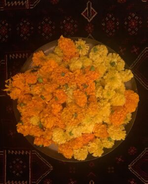Kausar Munir Instagram - Jashn e Diwali 🪔
#Hindostani