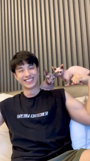 Kay Lertsittichai Instagram - น้องแมวงงเลย🐱
