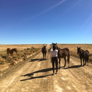 Kayla Briët Instagram - we shared a quiet moment with our 🐎 wild friends 🐎 <@cargarphoto   me  heading back from chaco canyon, NM on these open roads 10.29.17>