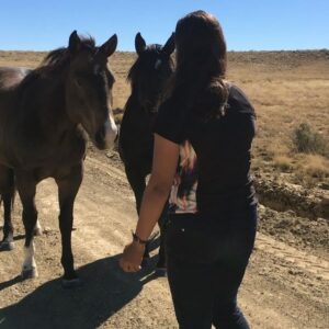 Kayla Briët Instagram - we shared a quiet moment with our 🐎 wild friends 🐎 <@cargarphoto   me  heading back from chaco canyon, NM on these open roads 10.29.17>