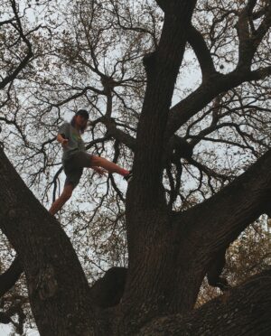 Kayla Briët Instagram - it’s a gloomyPretty day so @ziibiwan and i decided to climb this tree 🍃