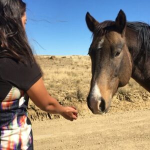 Kayla Briët Instagram - we shared a quiet moment with our 🐎 wild friends 🐎 <@cargarphoto   me  heading back from chaco canyon, NM on these open roads 10.29.17>