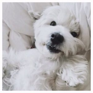 Kayla Heller Instagram - miss you already lil guy </3