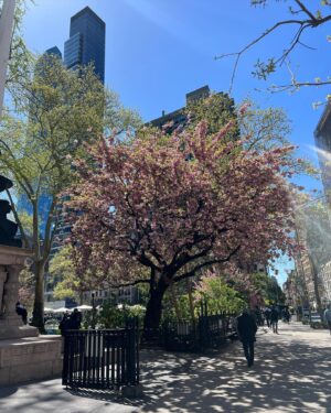 Kaylee Quinn Instagram - Spring in New York🌸