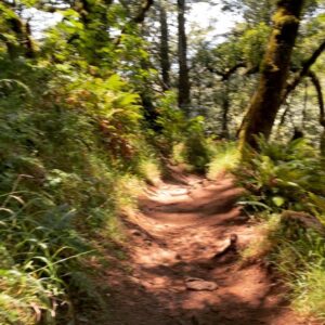 Kaysar Ridha Instagram - I work really hard… it’s a problem. So getting away allows me to reset and feel refreshed. If you’re looking for me you can find me getting lost somewhere in nature. Love it! 🌱