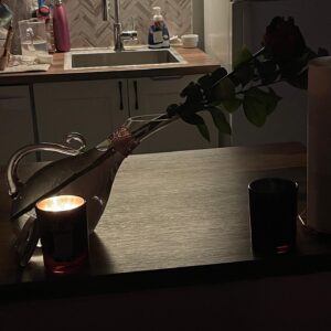 Kayshia Fils-Aimé Instagram - What Does It Mean When A Rose Never Fades Away..?