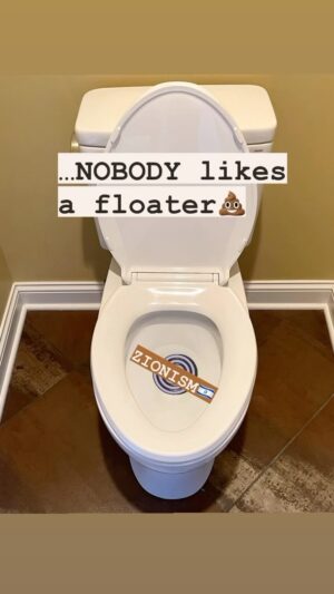 Kayvan Novak Instagram - See it. Flush it. Sorted 👍

#enoughisenough #freepalestine 🇵🇸