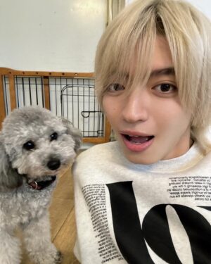 Kazuto Mokudai Instagram - 可愛いすぎたなぁ

こーさくとも戯れました

#わんことこーさくとデート
