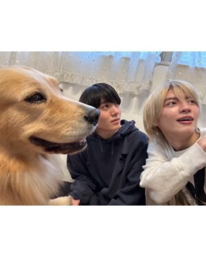 Kazuto Mokudai Instagram - 可愛いすぎたなぁ

こーさくとも戯れました

#わんことこーさくとデート