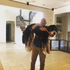 Kearran Giovanni Instagram - Big baby! @charliethebernadoodle