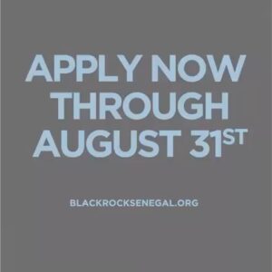 Kehinde Wiley Instagram - It’s the ✨✨LAST WEEK✨✨ to apply to Black Rock. Thank you to those who have applied so far ❤️ We are very excited by all that is in store for Year 2 ! 

If you have questions about the application process please email us at apply@blackrocksenegal.org

We are open to artists of all mediums and all nationalities. Applications must be submitted digitally by August 31st, 2020. Link in bio ^^^

@kehindewiley @blackrocksenegal #blackrocksenegal #kehindewiley #artistresidency #year2 #dakar #senegal #application #applynow