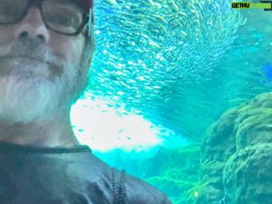 Keith Allan Instagram - Because you really can’t have too many pics of jellyfish. Right?