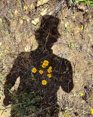Keith Allan Instagram - Beautiful hike!