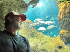 Keith Allan Instagram - Because you really can’t have too many pics of jellyfish. Right?