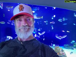 Keith Allan Instagram - Because you really can’t have too many pics of jellyfish. Right?