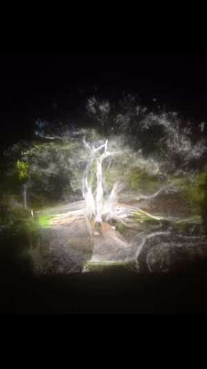 Kelli Garner Instagram - 3D scan of our majestic fig. What a sacred beauty. I stare at this tree from my balcony, but this is a whole new level. @ericalbernhard