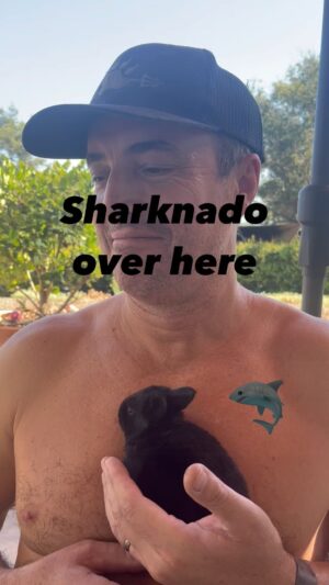Kelly Carlson Instagram - 🦈 🌪️ Dan got a pet today 🖤