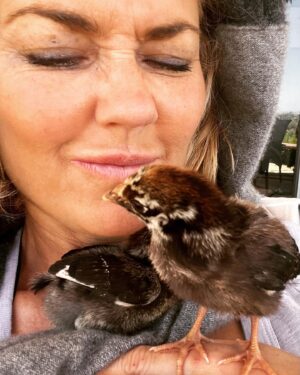 Kelly Carlson Instagram - Silver Laced Wyandottes 🐣