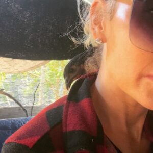 Kelly Carlson Instagram - I’m so in love with this bird ❤️ I swear we had a past life together. Lol Trendy is trending. #trendy