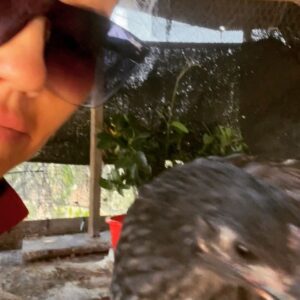 Kelly Carlson Instagram - I’m so in love with this bird ❤️ I swear we had a past life together. Lol Trendy is trending. #trendy