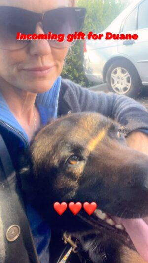 Kelly Carlson Instagram - Thank you to @cobracaninellc for letting me deliver a special dog to my friend @dwyer_custom_goods Love at first sight!! Match made in heaven ❤️🇺🇸⭐️ 🐾