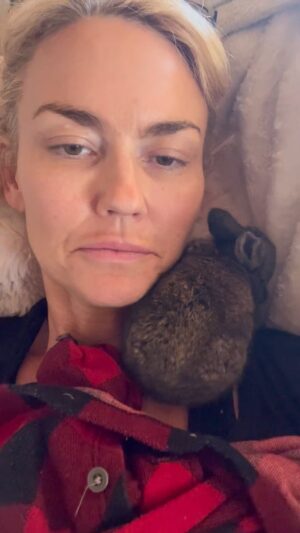 Kelly Carlson Instagram - #babyrabbits