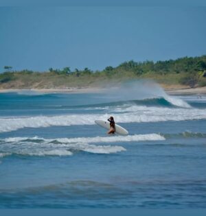 Kelly Greyson Instagram - Surfing #CR 🇨🇷 

I am such a beginner 🙃 #FutureAmazingSurfer 
but just did my first day on a “real board” 🤣🙌 (my limited experience has been on a soft top)
It was sooo fun 🤩 and I rode the first wave I tried 🥰🎊… 

Thank you @voltsurfwear for a swimsuit! I don’t have to swim for every time I get thrashed by a wave 🤣 
….annnnddd it was a super cool surprise 🤩to come back to the beach and meet a photographer who had been taking pics! 🙌😇So Fun to see what I looked like out there 🤣

Thank you @juancruzzzl 

Board @surfcycled