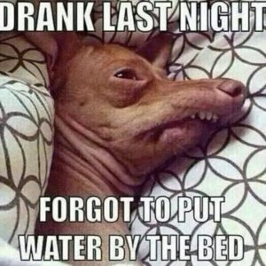 Kelly LeBrock Instagram - Well , maybe I did !