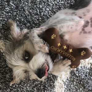 Kelly LeBrock Instagram - My boy has expensive taste but he is worth it !  Thank you Nate for the gift 💝