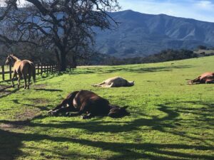 Kelly LeBrock Instagram - Let sleeping babies lay ❤️
This is gold , in my spirit bank 🙏#so blessed
