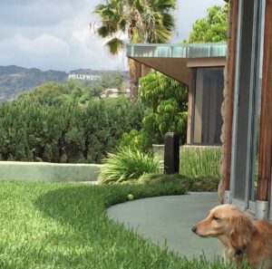 Kelly Lynch Instagram - Happy Earth Day! 

Ram and I celebrate #earthday every day by cleaning up garbage during our walks, composting, shopping local, (we love our Sunday Hollywood Farmers Market) and are doing our best to reduce, reuse, and recycle because there is no Planet B…
🌎💚