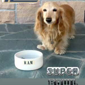 Kelly Lynch Instagram - Got our *game faces* ON!

  GO RAMS! 

PS can someone explain to my dog Ram that it’s Super Bowl not Supper bowl?! ( #swipeleft ) 🐶

PSS (update) WE WON!!! 💙💛
📸 @stewartshining 

#superbowl #sunday #funday #gameface #ON #theram #LA #rams #ramshouse #letsdothis 🏈🐾