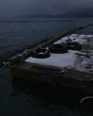 Kelly McCormack Instagram - For the six people who don’t hate my relentless tire/log/dock photography