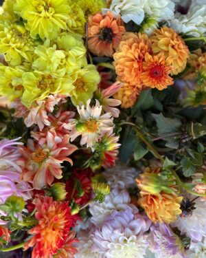 Kelsey Crane Instagram - Shop Farmers’ Markets 🪻🌼🌸 Support our Farmers 🌱 #EatOrganic #EatLocal #SupportOurFarmers & #Farmworkers